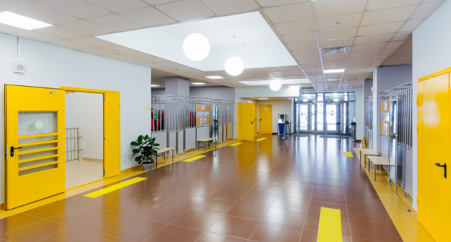 banner_vzaimoobuchenie_sch_05092019