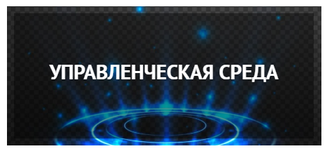 Управленческая среда ДОГМ. Мероприятие управленческая среда. Управленческая среда проект. Управленческая среда во сколько.