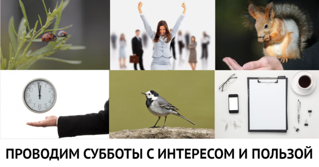 Субботы московского школьника 6 и 13 июня 2020 года