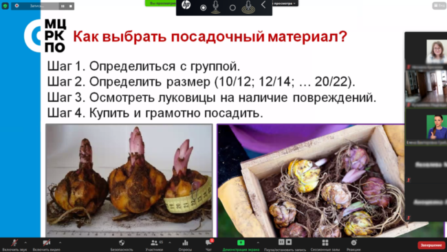 Московское долголетие-05-04-2021-садоводство