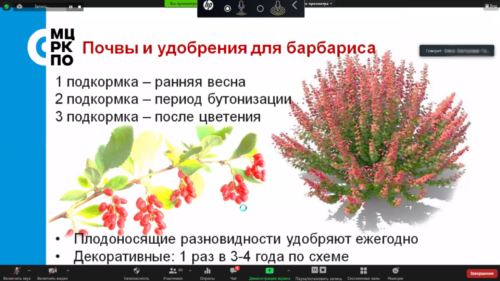 Московское долголетие_11-06-2021_садоводство