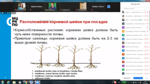 Московское долголетие-14-05-2021-декаративное садоводство