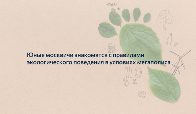 eko_sled_fb