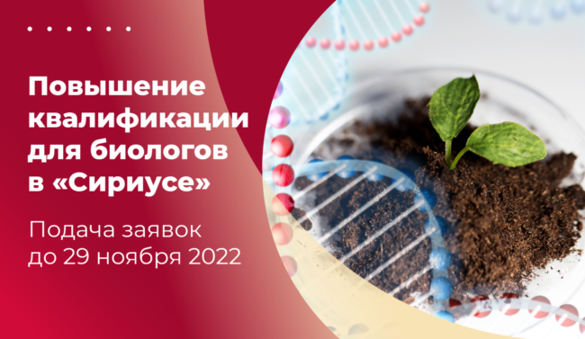 Афиша_Сириус_биологическая стажировка_широкий красный